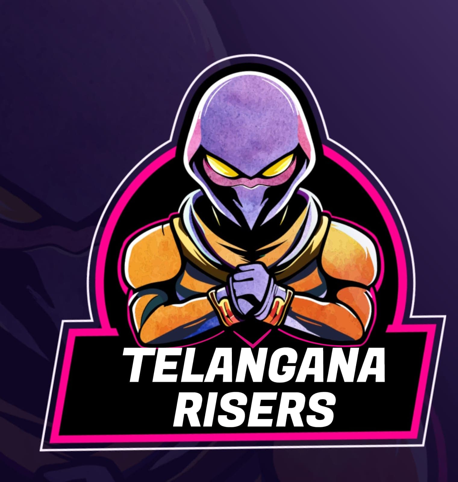 TELANGANA RISERS